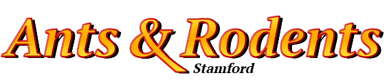 Stamford Ant Exterminator & Rodent Control Company Logo